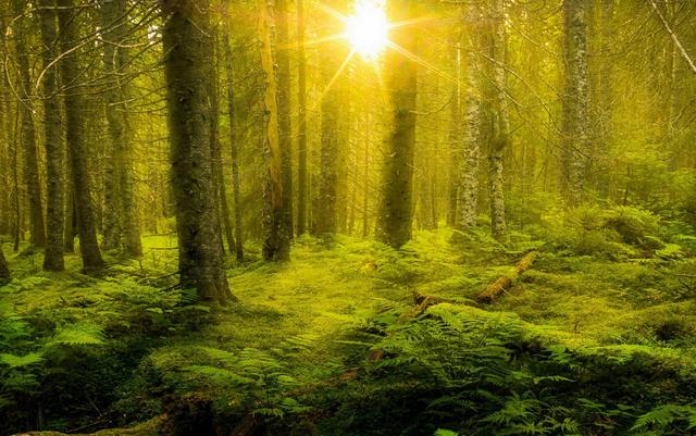 人类的15种行为,人类90%以上的行为