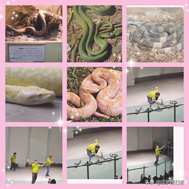 璧板績鐨勬梾娓稿皬濮愬,鎻1000鍏冩嘲鍥芥父