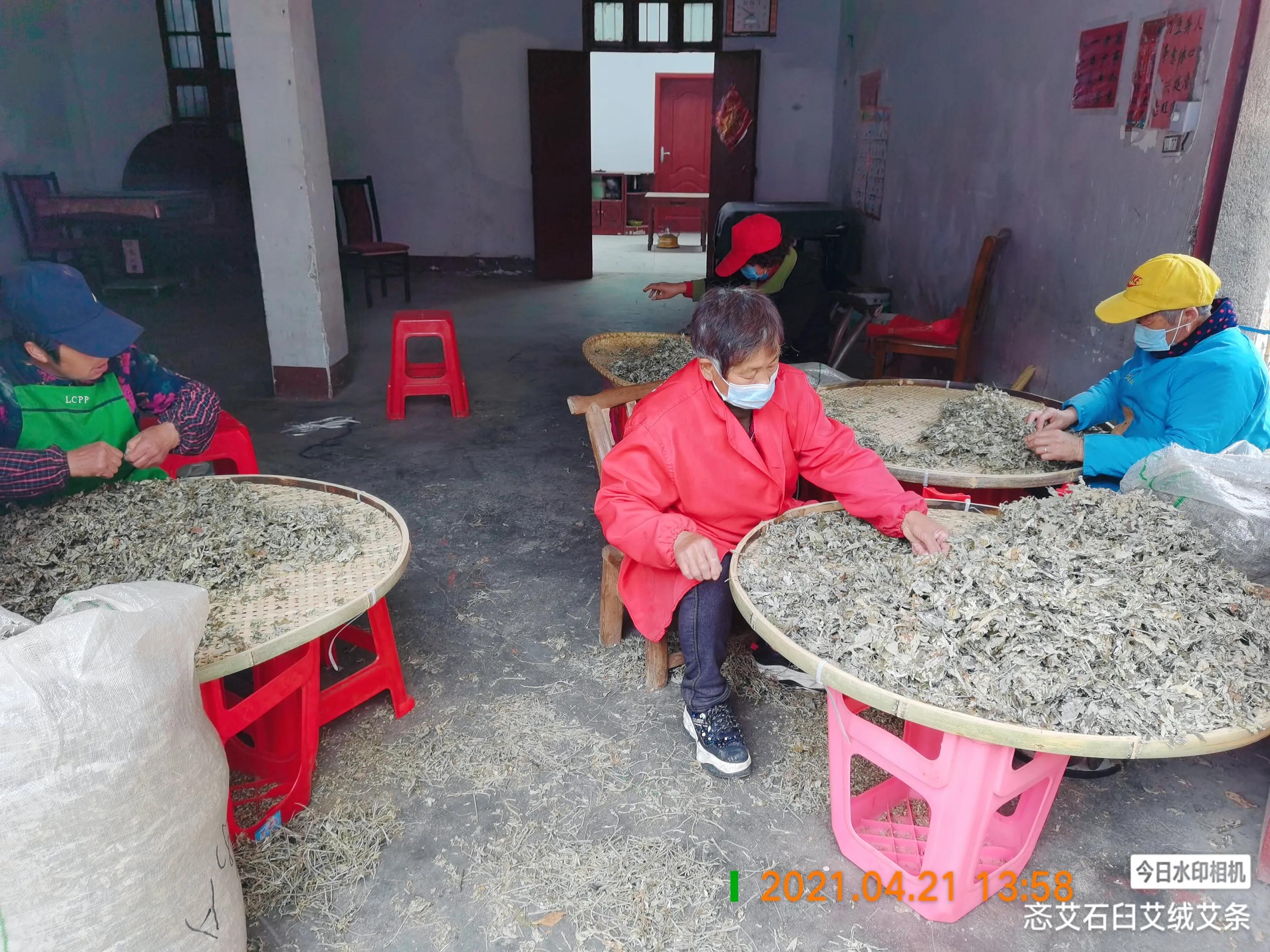 金艾条和陈艾条有什么区别,如何选择真正的好艾条