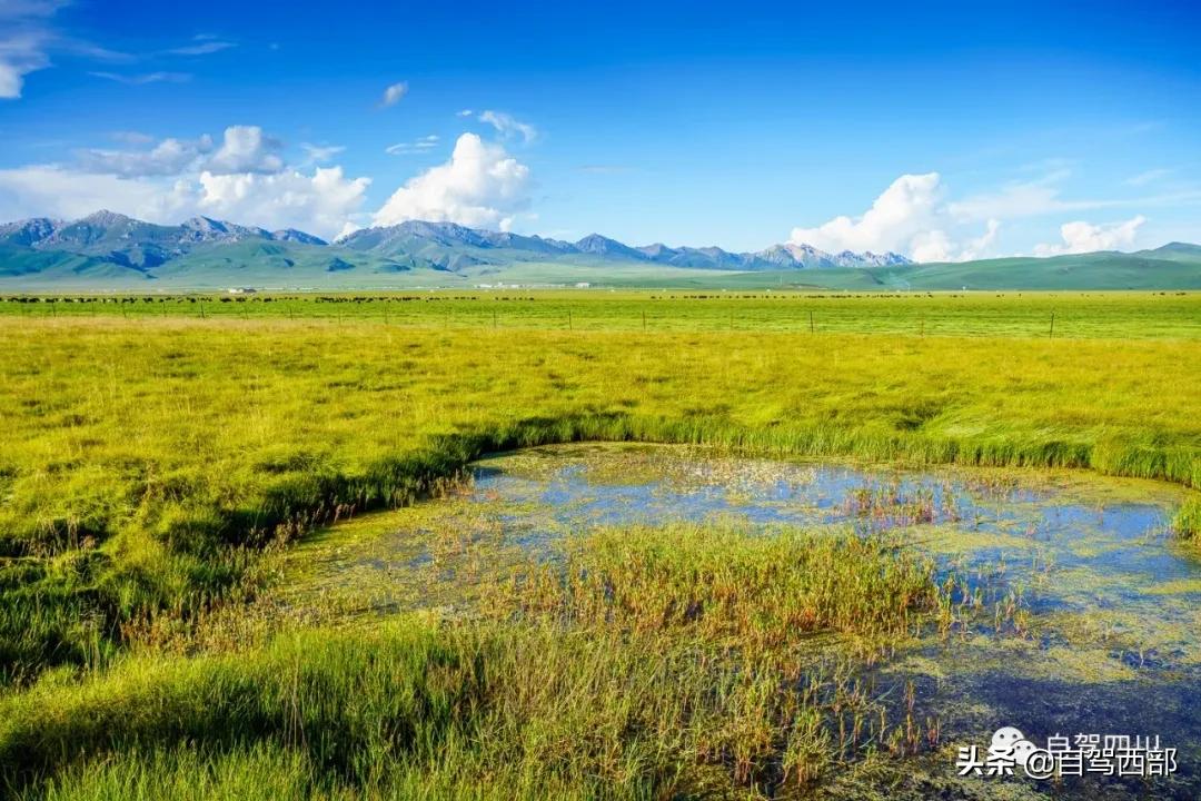 鑻ュ皵鐩栧ぇ鑽夊師杩樻湁娌℃湁婀垮湴,鑻ュ皵鐩栨箍鍦伴粍娌崇殑澶ц嚧璧板悜