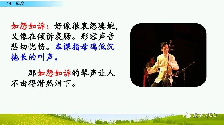 四年级下册语文母鸡课文重点讲解,四年级下册语文14课母鸡重点知识