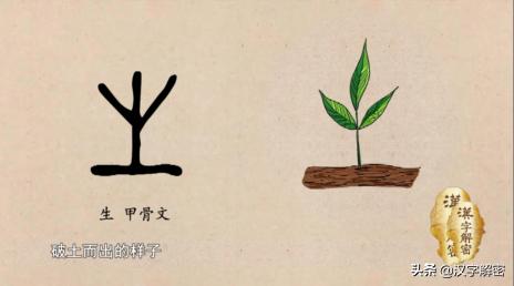 “生活”一词在古代不存在？听完专家的解释，瞬间真相