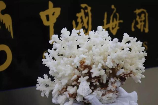 港澳入境旅客携带物品需注意什么,进出港澳不能带什么东西