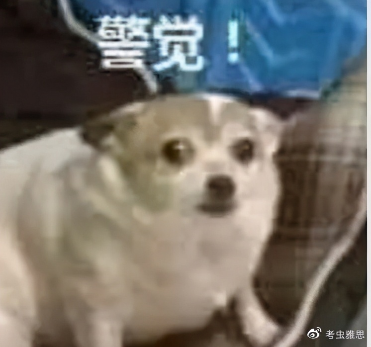 现在留学有没有被诈骗,警惕专门针对留学生的诈骗