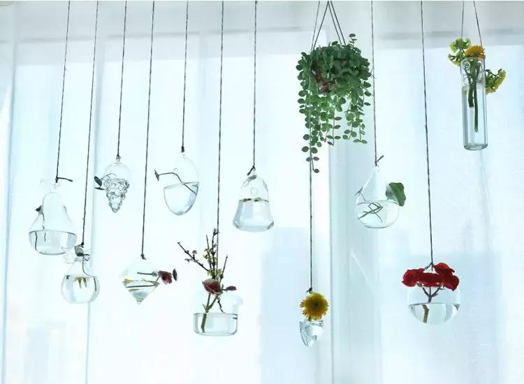 水培绿萝能放桌上吗,桌上水培花草