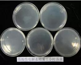 次氯酸水用途，杀菌，保鲜，抗氧化剂百分百安全无刺激灭菌无残留