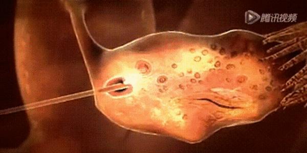 郑爽回应“代孕”风波！这次是真的实锤了