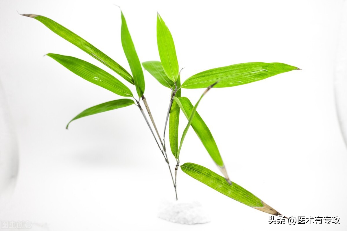 每天学习一味中药玉竹,每天学习一味中药