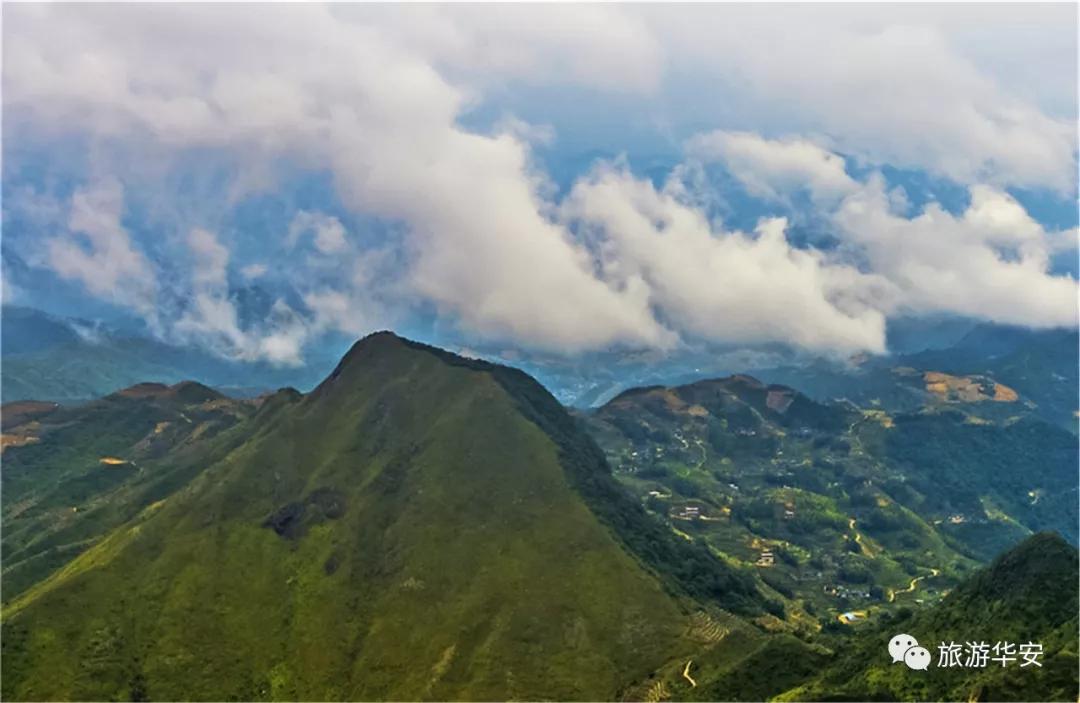 春风十里不如你，我在华安等着您