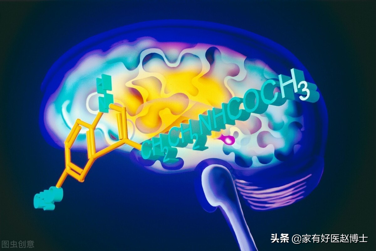 助眠药物褪黑素可以自己买到吗,褪黑素助眠片有用吗