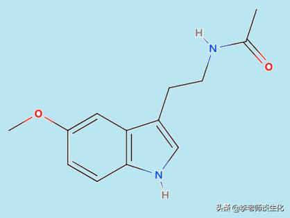 氨基酸衍生物类,鱼类氨基酸代谢过程