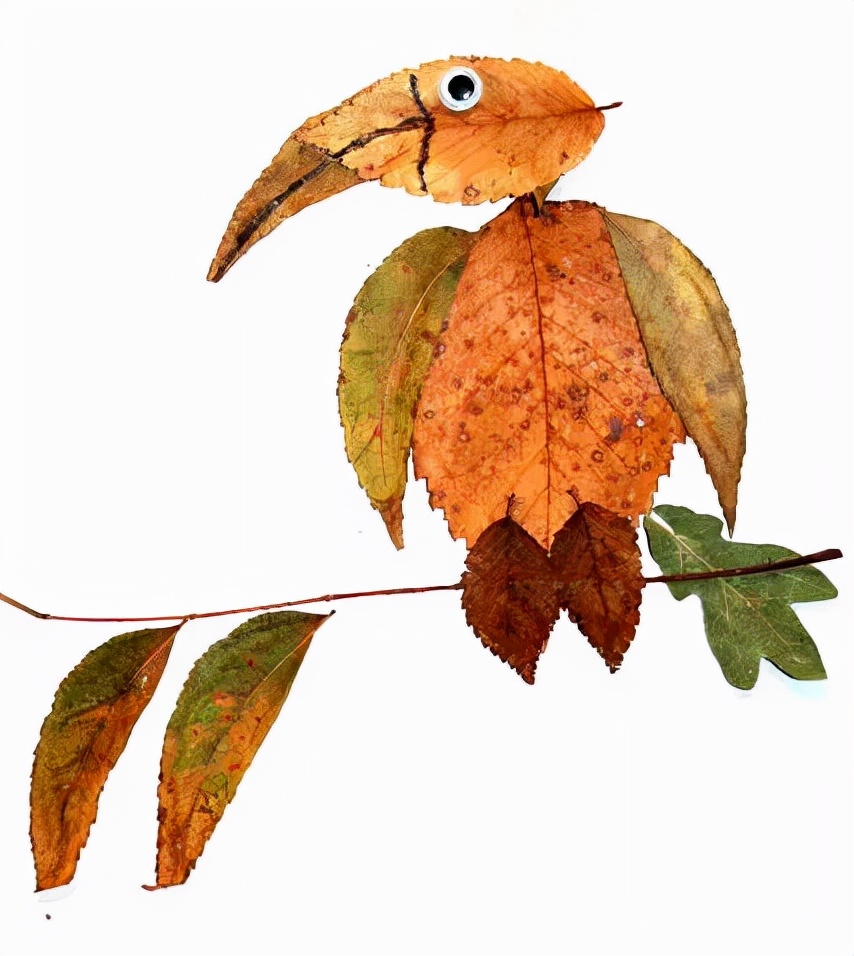 有多少种各种各样的小动物呢,用落叶做可爱的小动物