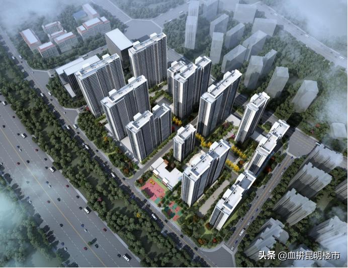 南市区教育大盘,实探学区