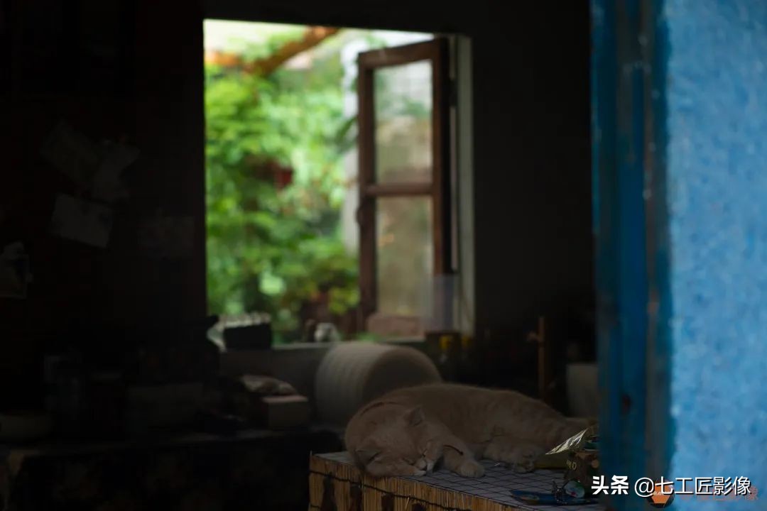 七工匠75mmf1.25夜神人像镜头,七工匠75mmf1.25参数