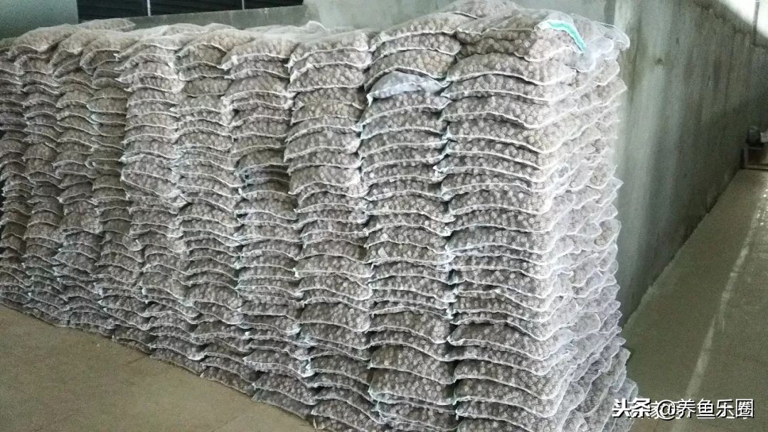 这位土豪家的渔场,光滤材就花了500多万,你确定不要见识一下?