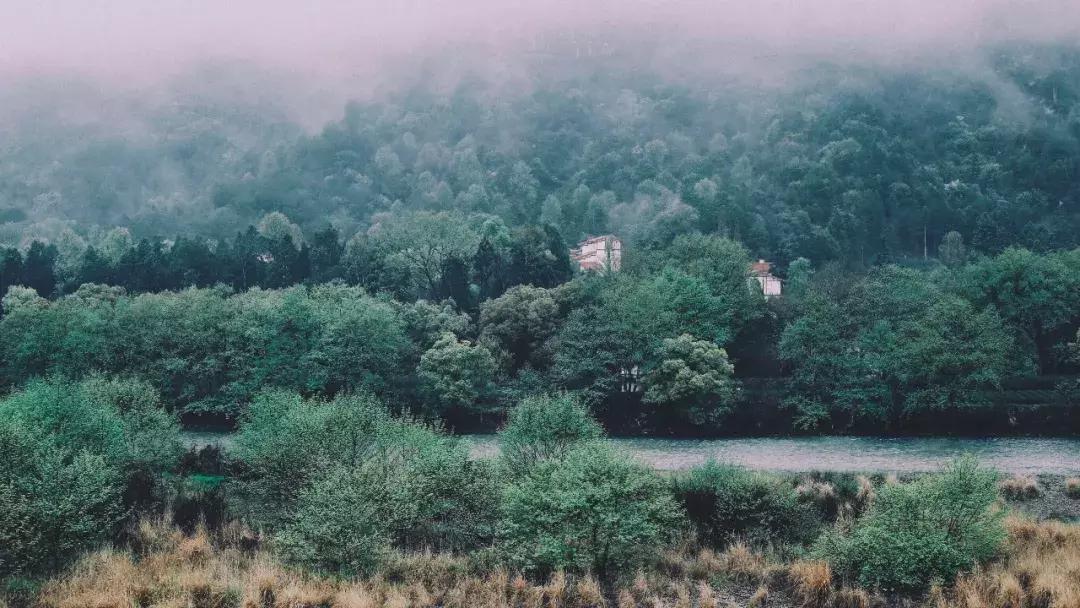 武夷山亲子民宿推荐独栋别墅,武夷山一同山居茶文化民宿