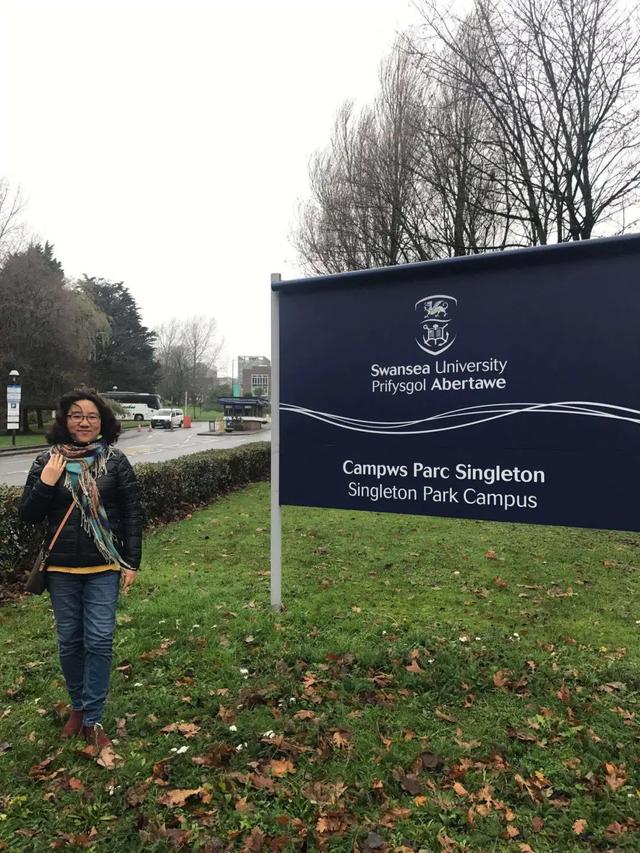 国际本科招生翻译专业,招生推广翻译