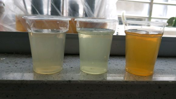 酸性水浇花的最佳方法,浇花加醋和糖