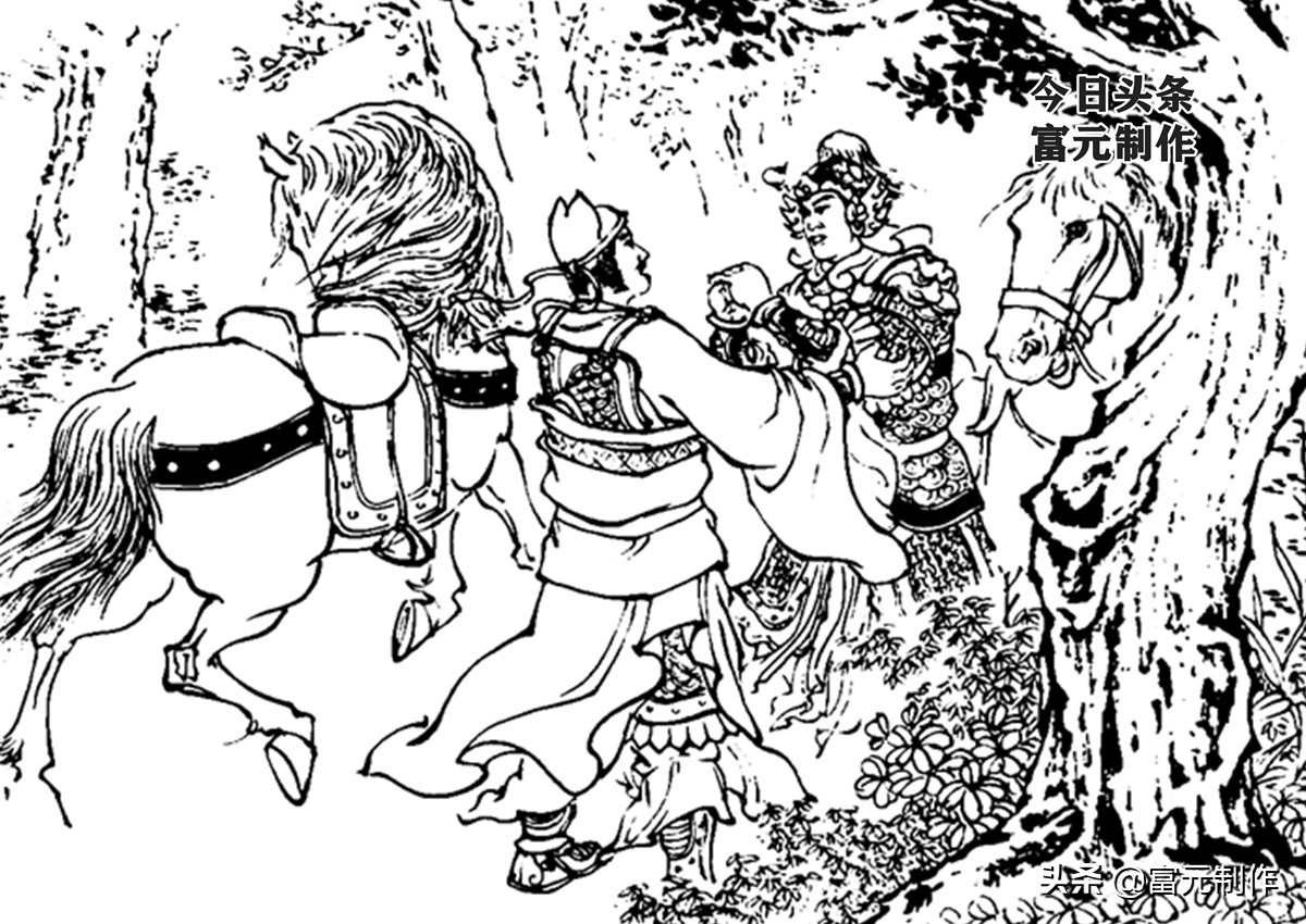 呼延庆杨再兴大战岳飞,说岳全传杨再兴的武功