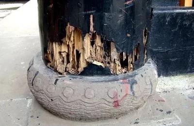 防治白蚁药,白蚁的防治