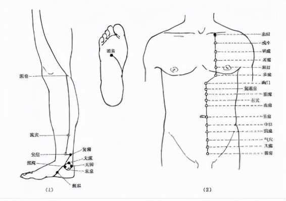 夏天精油的正确使用方法,天然温和精油的正确使用顺序