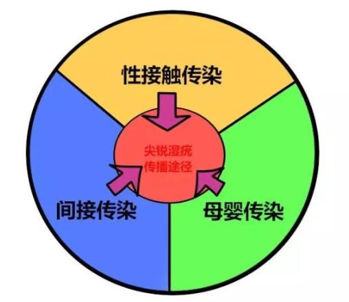 宫颈癌超全知识一次解决你的疑问,宫颈癌常见问题及解决