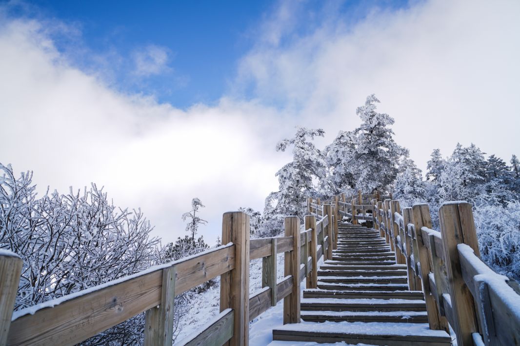 西岭雪山玩耍区在哪里,西岭雪山景区玩耍路线