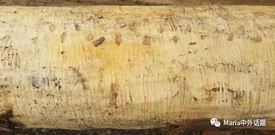 美国硬木干货价格,北美硬木排行