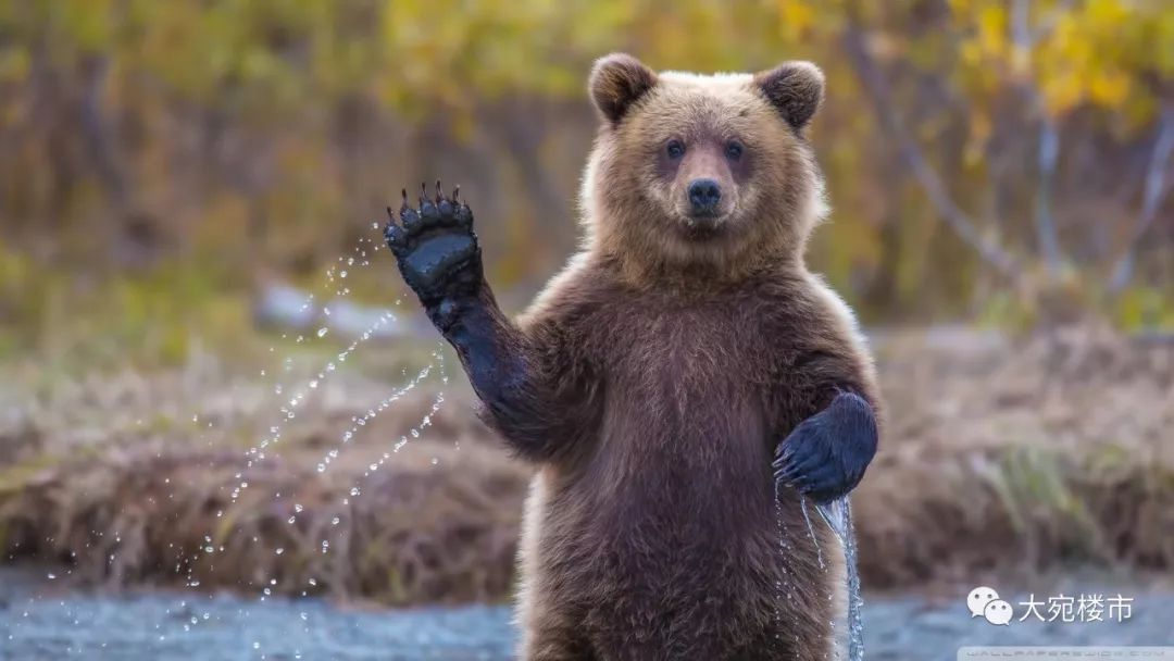 南阳购买二手房注意事项与流程,南阳房价买二手房应注意事项