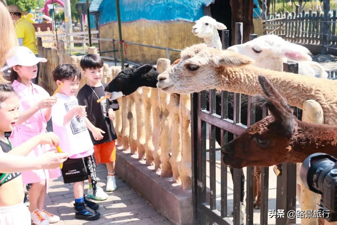 浙江安吉旅游攻略自由行攻略,江浙沪周边一日游自驾游推荐安吉