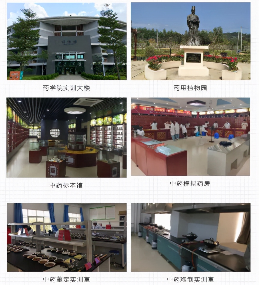 这所院校的省级品牌专业太棒了！期望成为中药学人才的小伙伴冲鸭