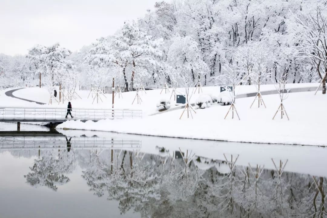 怎么讽刺天气冷,吐槽广东天气冷的段子