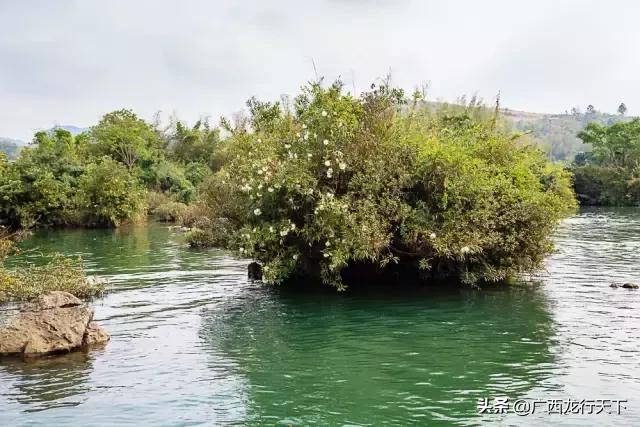 如意岛生态景区攻略,秘境之地的鬼斧神工