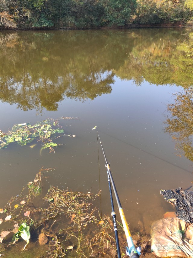 名伦钓具阁云坛系列怎样,阁云坛值得购买吗