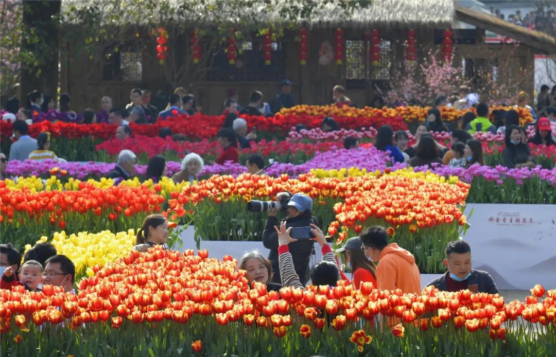 重庆北碚清明节踏青好去处,重庆巴南踏青一日游最佳攻略