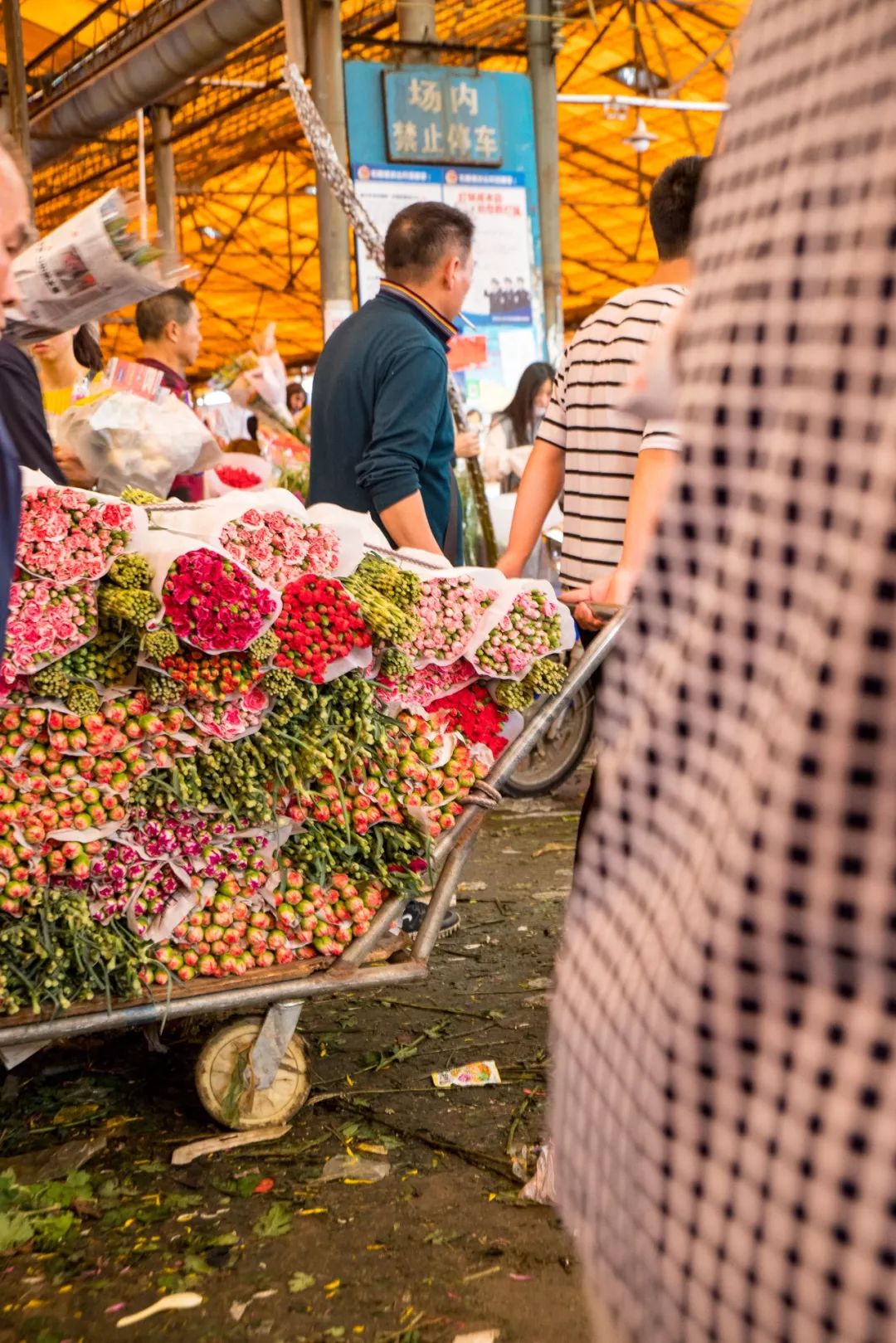 广州最大的花卉市场有哪些店,广州最便宜的花卉交易市场