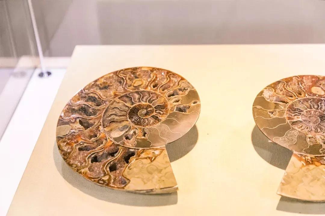 深圳宝安哪里有网红打卡的地方,深圳宝安打卡好玩的地方推荐