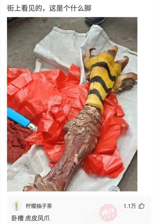 被蚊子咬搞笑视频笑死人,被蚊子咬的搞笑动画