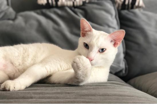 iphone有什么好技能,iphone究竟有什么能耐