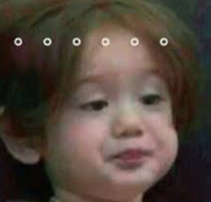 生活中常见的致命毒虫,澳洲常见的几种虫子