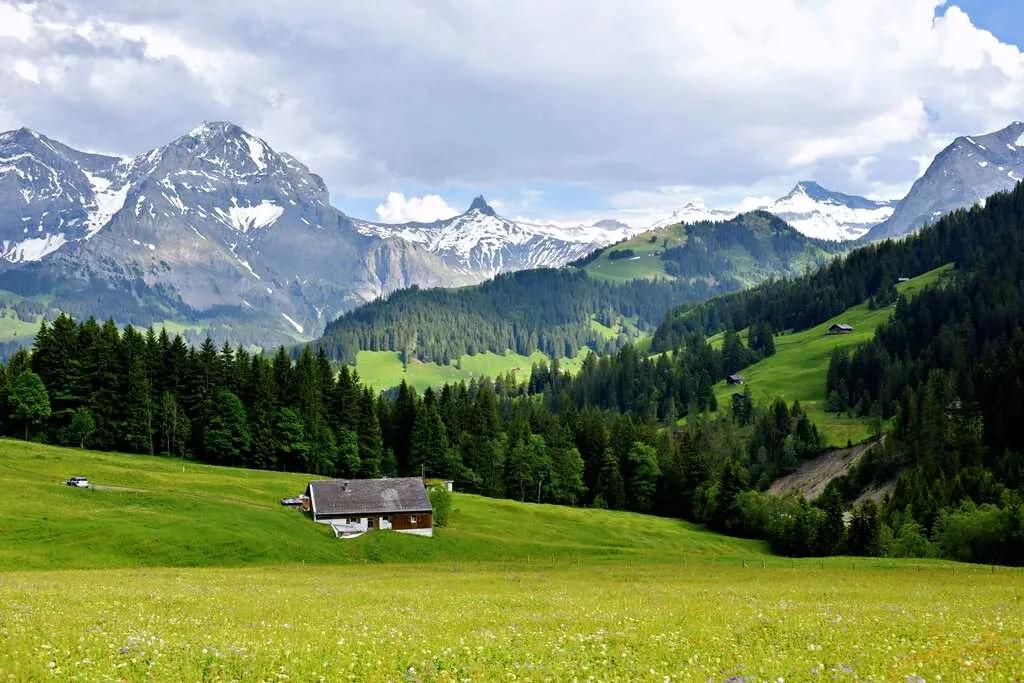 本科非师范生建议考研考教育学吗,非师范生需要自学教育学吗
