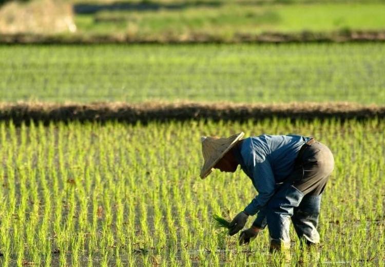 “有钱当没钱花”:村里老人常说的话,回头想想,不无道理