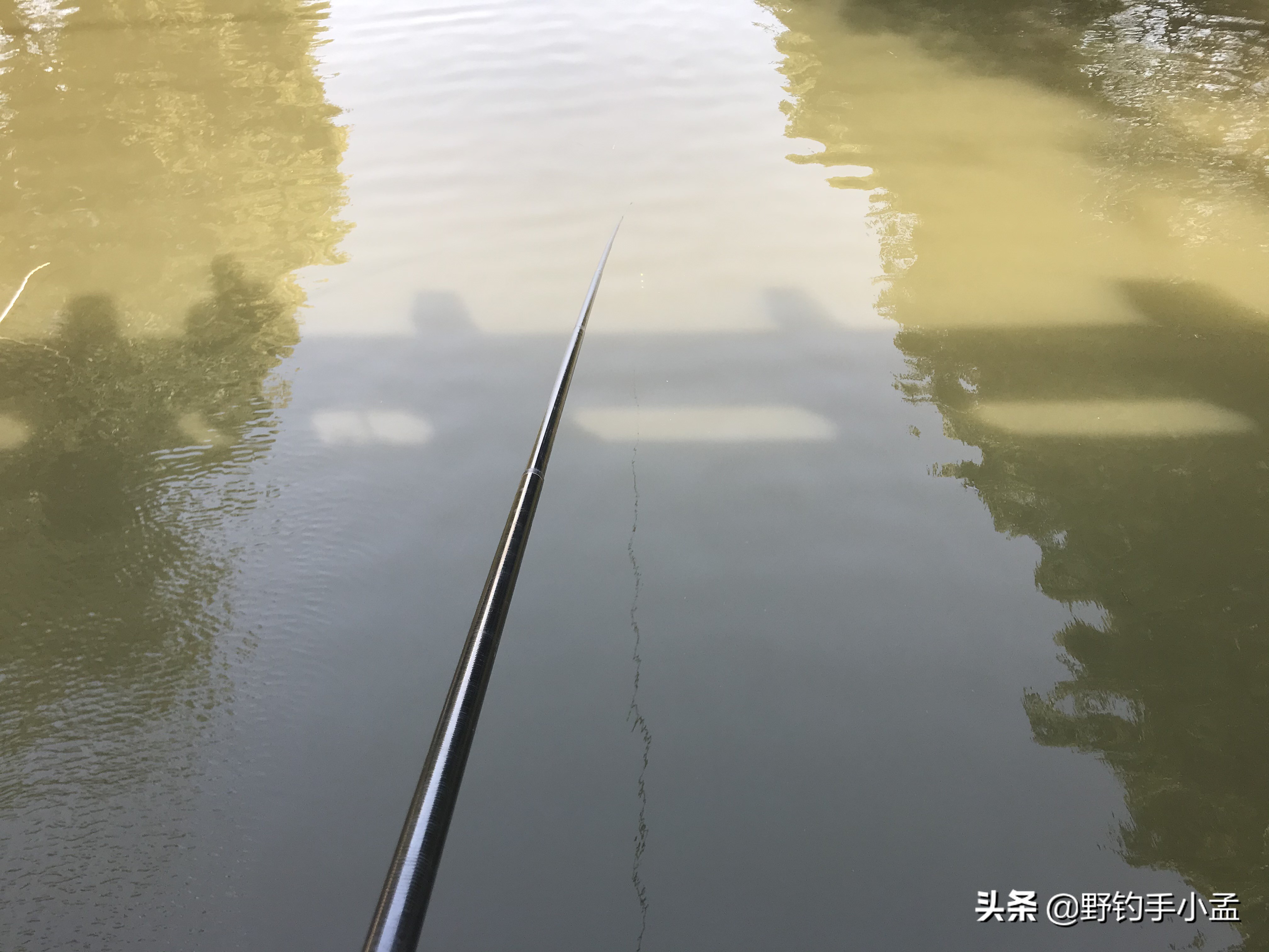 阴雨天钓鱼抛竿技巧图解,野钓大风天怎么抛竿快呢