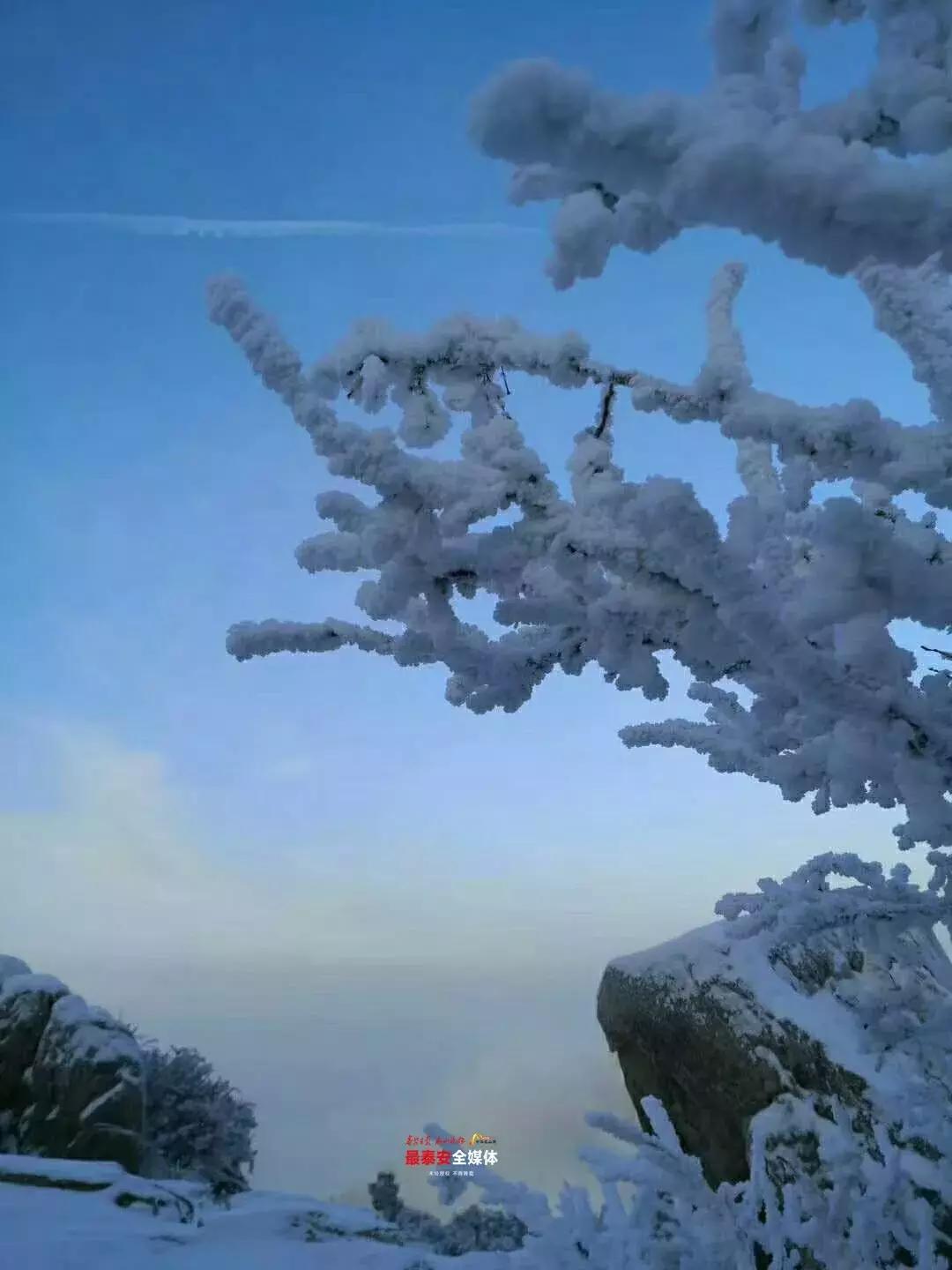 此刻泰山成了雪国，美到无言！高清美图来袭，“雪国的列车”即刻发车！