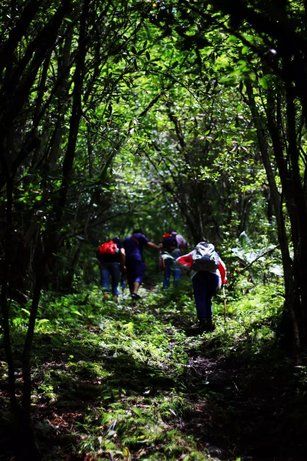 打卡网红地秋千,网红秋千户外营地打卡姿势