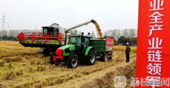 水稻亩产创世界纪录,超级水稻今年的产量