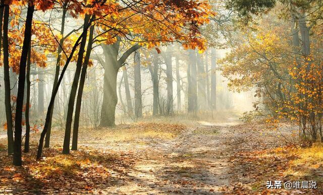 第一印象很重要内在更重要,第一印象很重要原版