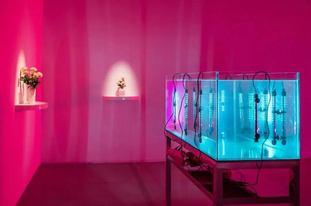 魔都看展推荐,魔都广场舞神仙打架