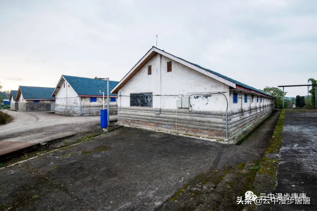 行走的风景岳池,行走的“风景”