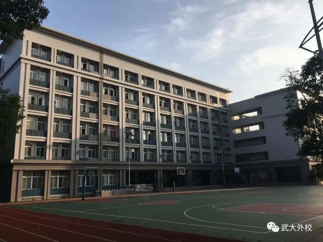 真香！读三年初中省几万块！？还能直升德国名校|名初解读